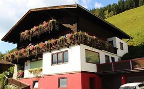 Apartment Seber